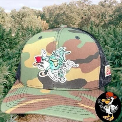 Crispy Clean Bud On A Plane