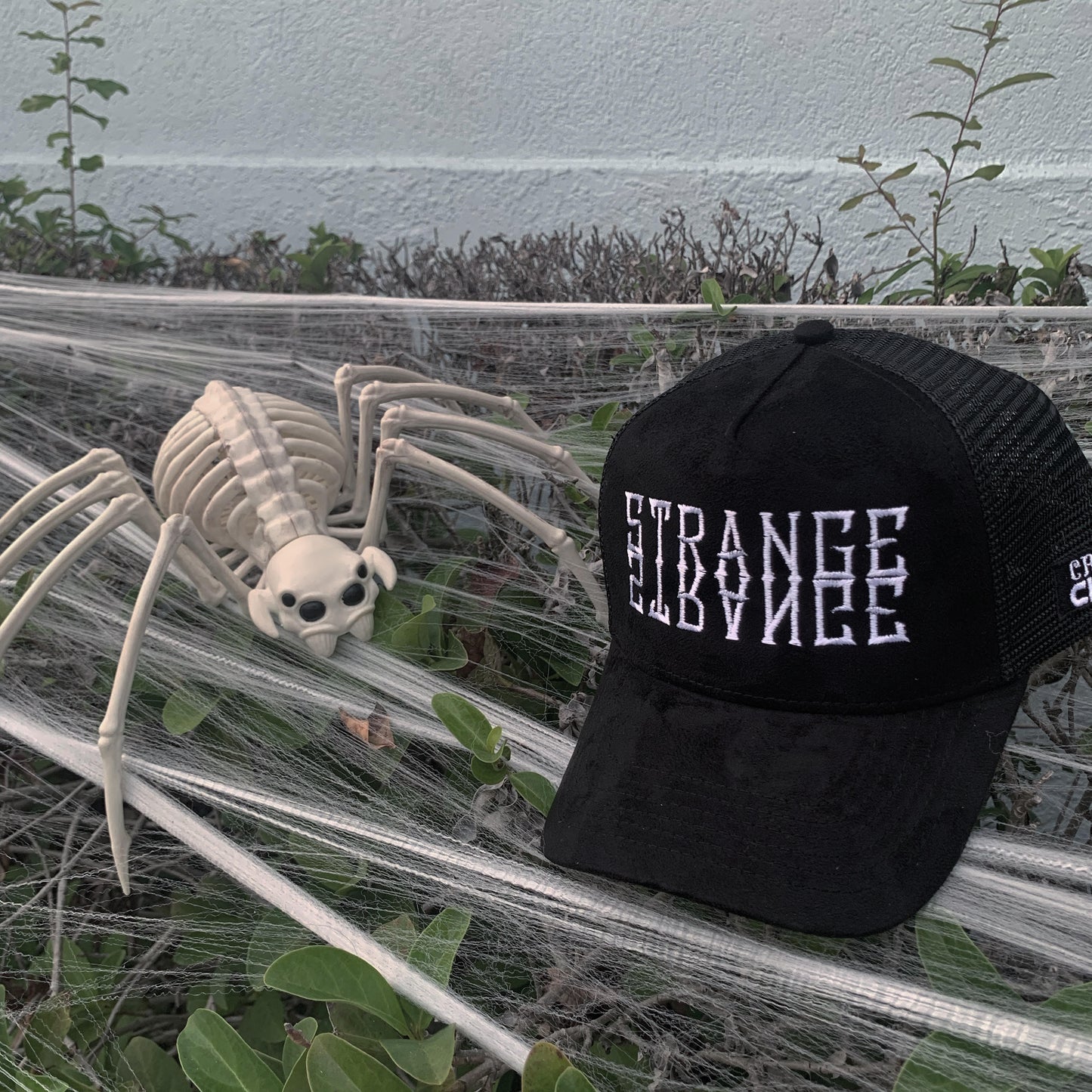 STRANGE x CRISPY CLEAN Trucker